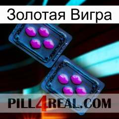 Золотая Вигра 03